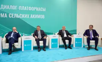 Энергетический ребус: Казахстан раскроет 79 тысяч км электросетей для сельских просторов