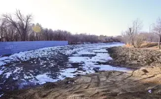 Лесная симфония: Карагандинский парк наполнился новыми голосами природы