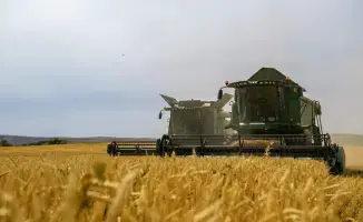 Рост переработки сельхозпродукции в Жетісу: новые возможности для местной экономики