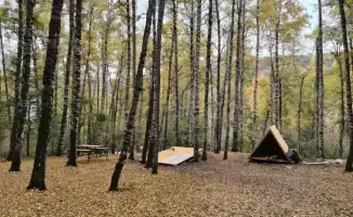 Рост туризма в Алматы увеличение международного потока и маркетинговые кампании