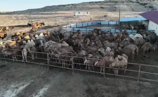 Нурдаулет Килыбай посетил автоматизированный цех в Мангистау