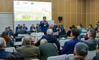 Сайгак в центре внимания: как сохранить экосистему в условиях растущей численности