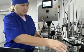 Коксуский район: аграрный хребет страны с урожаем в 30,5 млрд. тенге