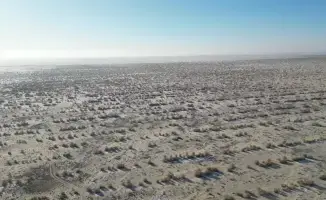 Восстановление природы: посадка саксаула на дне Аральского моря продолжается