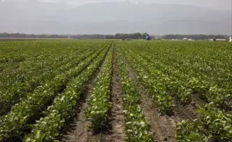 Финансирование сельского хозяйства в Алматинской области