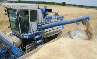 Рост валовой продукции сельского хозяйства Казахстана на 5,4% за десять месяцев 2025 года