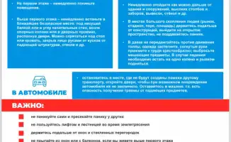 Землетрясение в регионе: экстренные меры и рекомендации для граждан