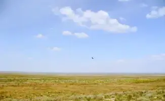 Возвращение неиспользуемых сельскохозяйственных земель в Абайской области