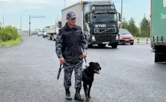 Служебная собака раскрывает преступление: гашиш найден в автомобиле в Астане
