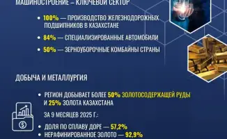 Зерновой урожай Акмолинской области: золотые поля и новые горизонты экспорта