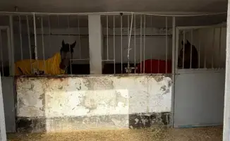 Решение для размещения лошадей в Алматы на зимний период