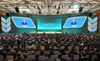 Животноводство: ключ к продовольственной безопасности страны?