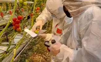 Введение платной фитосанитарной экспертизы: шаг к улучшению качества и прозрачности в аграрной сфере Казахстана