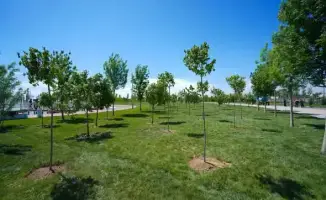 ТУРКЕСТАН: ЭКОЛОГИЧЕСКАЯ АКЦИЯ СБЛИЖАЕТ ОБЩЕСТВО И СПОСОБСТВУЕТ УЛУЧШЕНИЮ САНИТАРНОГО СИТУАЦИИ