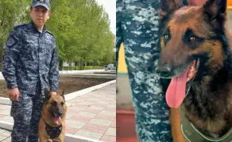 Раскрытие преступлений с помощью служебных собак в Павлодарской области