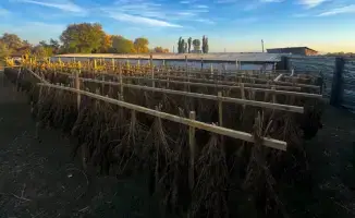 Рост усилий по борьбе с наркотрафиком: результаты операций Комитета национальной безопасности