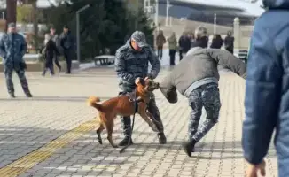 Полицейская собака демонстрирует навыки поиска наркотиков на встрече с студентами в Жетысу