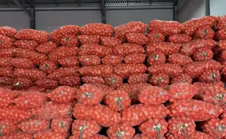 Актюбинская область укрепляет продовольственный щит: 4,5 миллиарда тенге на стабильность