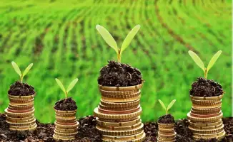 Кредитование АПК: поддержка для местных фермеров