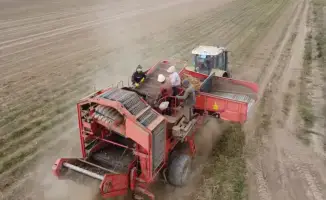 Своевременная подача заявок на дизтопливо обеспечит успешное проведение сельскохозяйственных работ в 2026 году