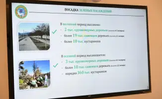 Алматы инициирует экологические преобразования с акцентом на озеленение и чистоту города