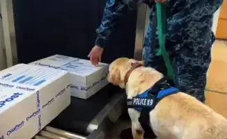 Наркотическая буря: 238 правонарушений за 10 месяцев в ЗКО