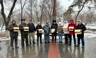 Кормушки для птиц в парке Майкудука