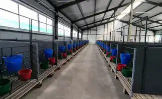В Костанайской области открыта новая молочно-товарная ферма на 1200 голов скота