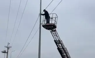 В Сайраме завершено строительство электрических сетей для 2663 домов