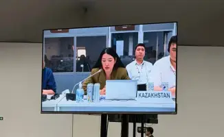 Сессия многостороннего содействующего рассмотрения прогресса