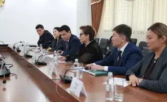 Сотрудничество Казахстана и ИКАО: шаги к устойчивому авиационному топливу и сокращению углеродных выбросов