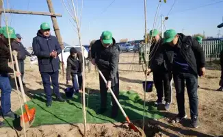 ТУРКЕСТАН: 5000 ДЕРЕВЬЕВ ПОСАЖЕНО В КАЗЫГУРТСКОМ РАЙОНЕ В РАМКАХ ЭКОЛОГИЧЕСКОЙ ПРОГРАММЫ «ТАЗА ҚАЗАҚСТАН»