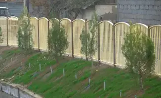 25 тысяч саженцев: осень в Келесе зазеленеет!