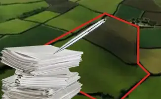 Нарушение прав на землю в области Абай: самовольное занятие государственного участка и последствия для нарушителя