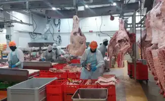 Четыре новых казахстанских предприятия добавлены в Реестр импортеров ОАЭ