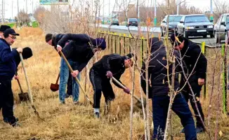 Активное участие населения в субботниках способствует улучшению экологической ситуации в Кызылординской области