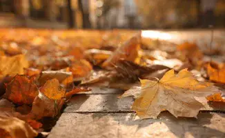 Теплая осень в Казахстане: как погодные условия влияют на настроение и активность граждан в последние дни ноября