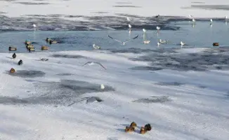 Казахстан: Погода готовит сюрпризы на ноябрьские дни — синоптики предсказывают капризы природы на 27, 28 и 29 числа