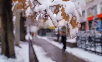 Температура в Казахстане продолжает расти: 'Казгидромет' подтверждает потепление зимы