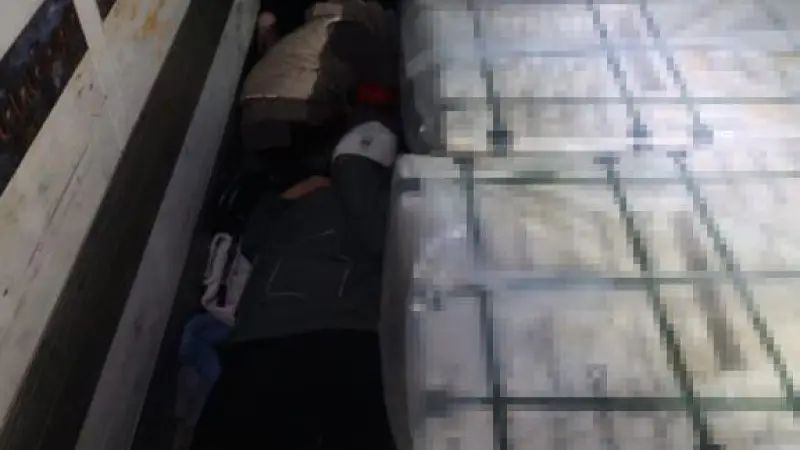 Креативная попытка контрабанды: пограничники КНБ предотвратили незаконный ввоз 'живых стройматериалов', что может повлечь за собой серьезные последствия для безопасности страны. {city2}