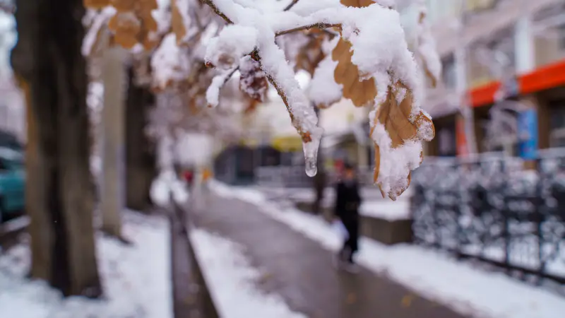 Температура в Казахстане продолжает расти: 'Казгидромет' подтверждает потепление зимы {city2}
