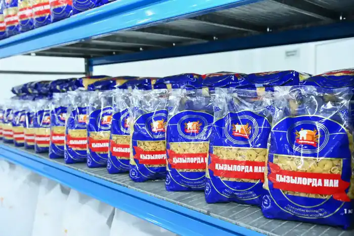 Более 750 млрд тенге инвестиций будет привлечено в Кызылординскую область в этом году (2)