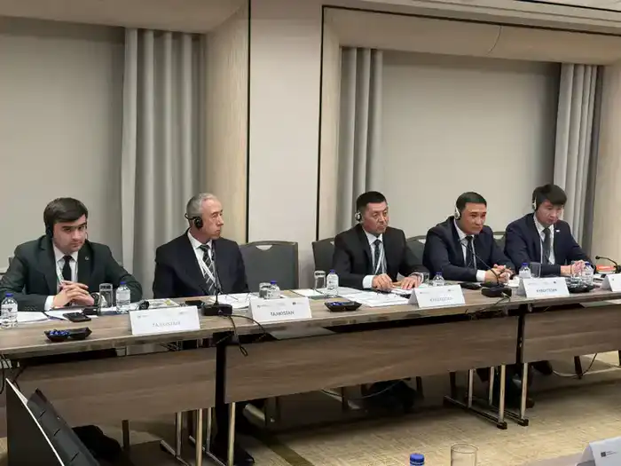 Казахстан на заседании PROTECT в Стамбуле {city2}