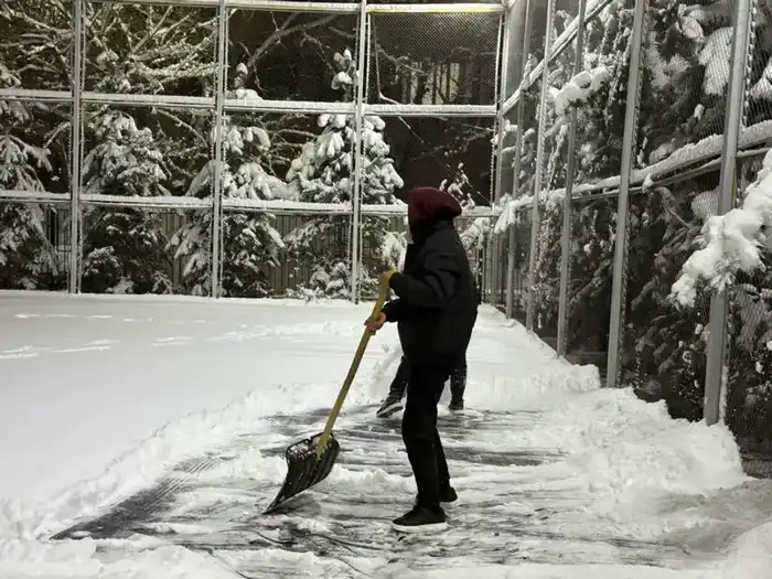 экосистема Алматы волонтерство молодежь устойчивое будущее {city2}