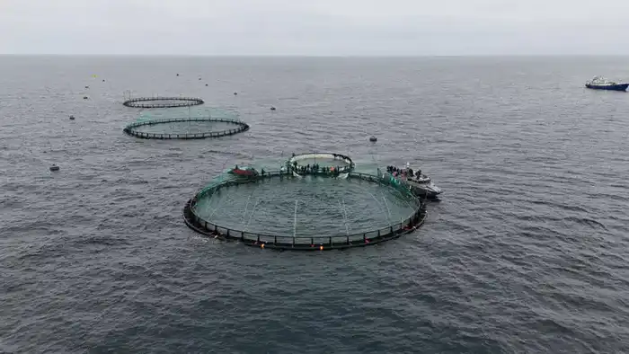 Каспийский старт: рыбоводство в Мангистау! {city2}