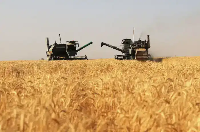 Почти 30 млрд тенге субсидий направлено на развитие агросектора Жамбылской области (4)