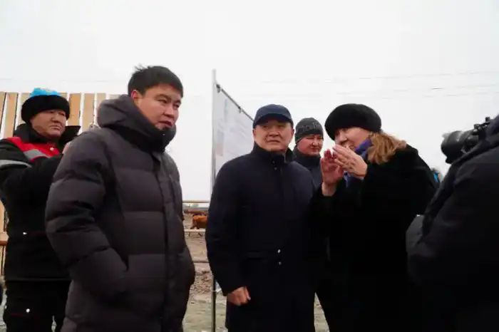 В Ерейментауском районе формируется крупный мясной кластер (5)