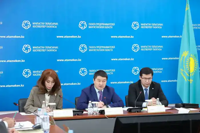 Нурдаулет Килыбай встретился с представителями бизнеса (2)