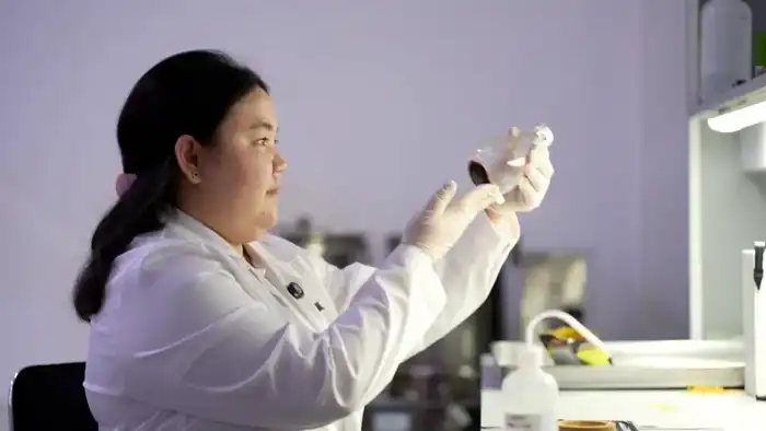 Исследование казахстанских ученых открывает новые возможности в борьбе с диабетом с помощью цикория {city2}