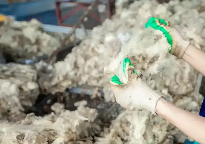 Шершавая революция: новый завод в Актюбинской области превращает овечью шерсть в экологичные материалы {city2}